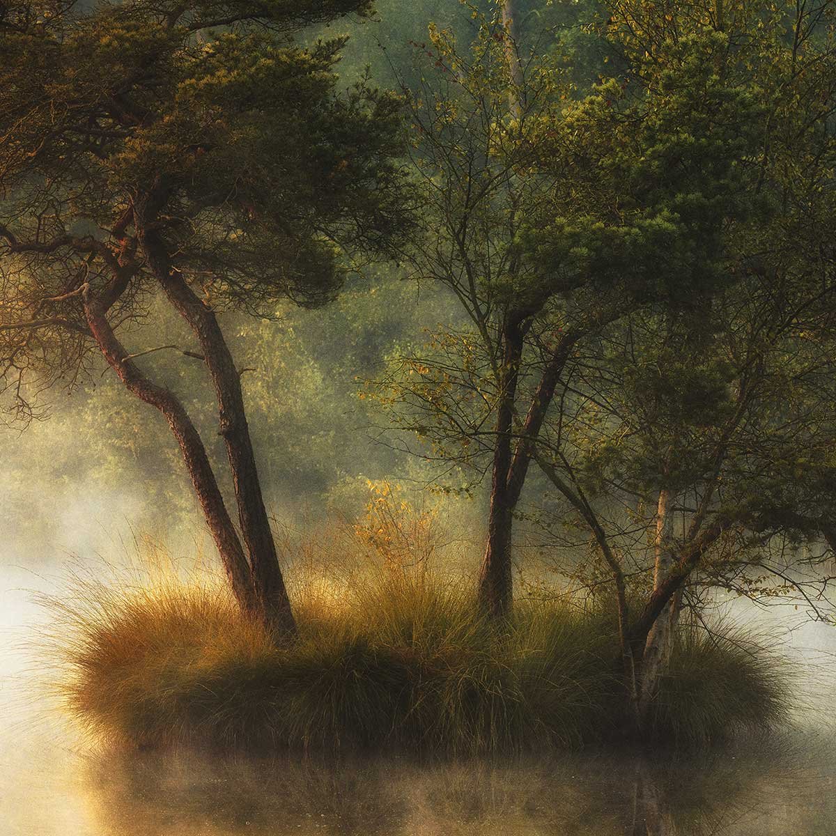 Tableau Ilôt d'automne tableau alu dibond, HEXOA