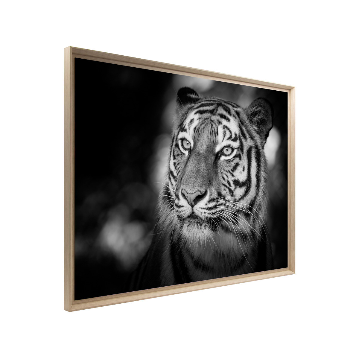 Tableau Mural Encadré Portrait Tigre Sauvage ANIMAUX tableaux encadrés, CEANOTHE
