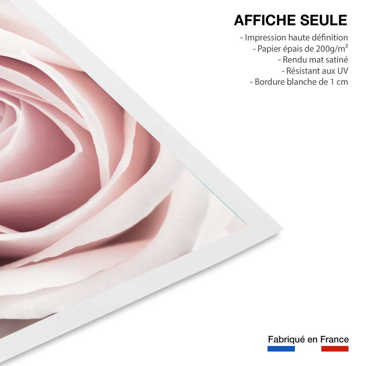 Affiche coeur de roses affiche seule, HEXOA