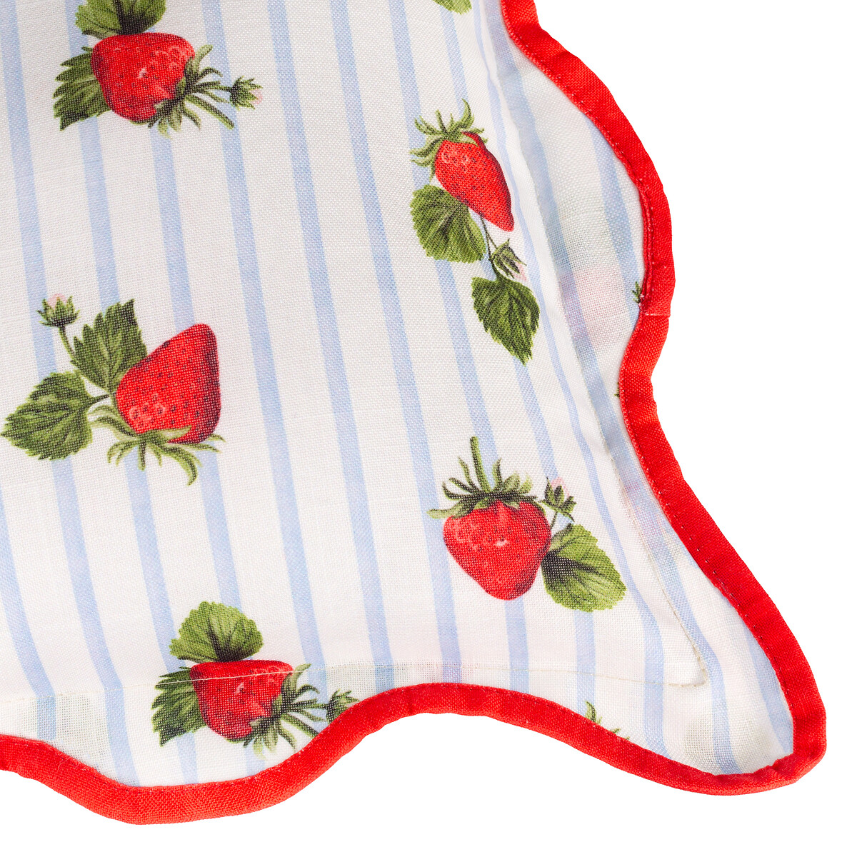 Fruits Strawberries Striped Outdoor Cushion blue, FURN.