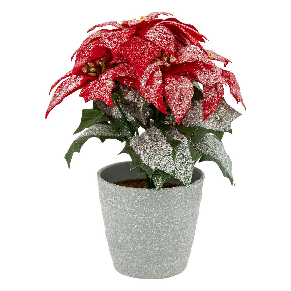 Branche Poinsettia Paillettes Pot H 22 cm rouge, FEERIC LIGHTS & CHRISTMAS