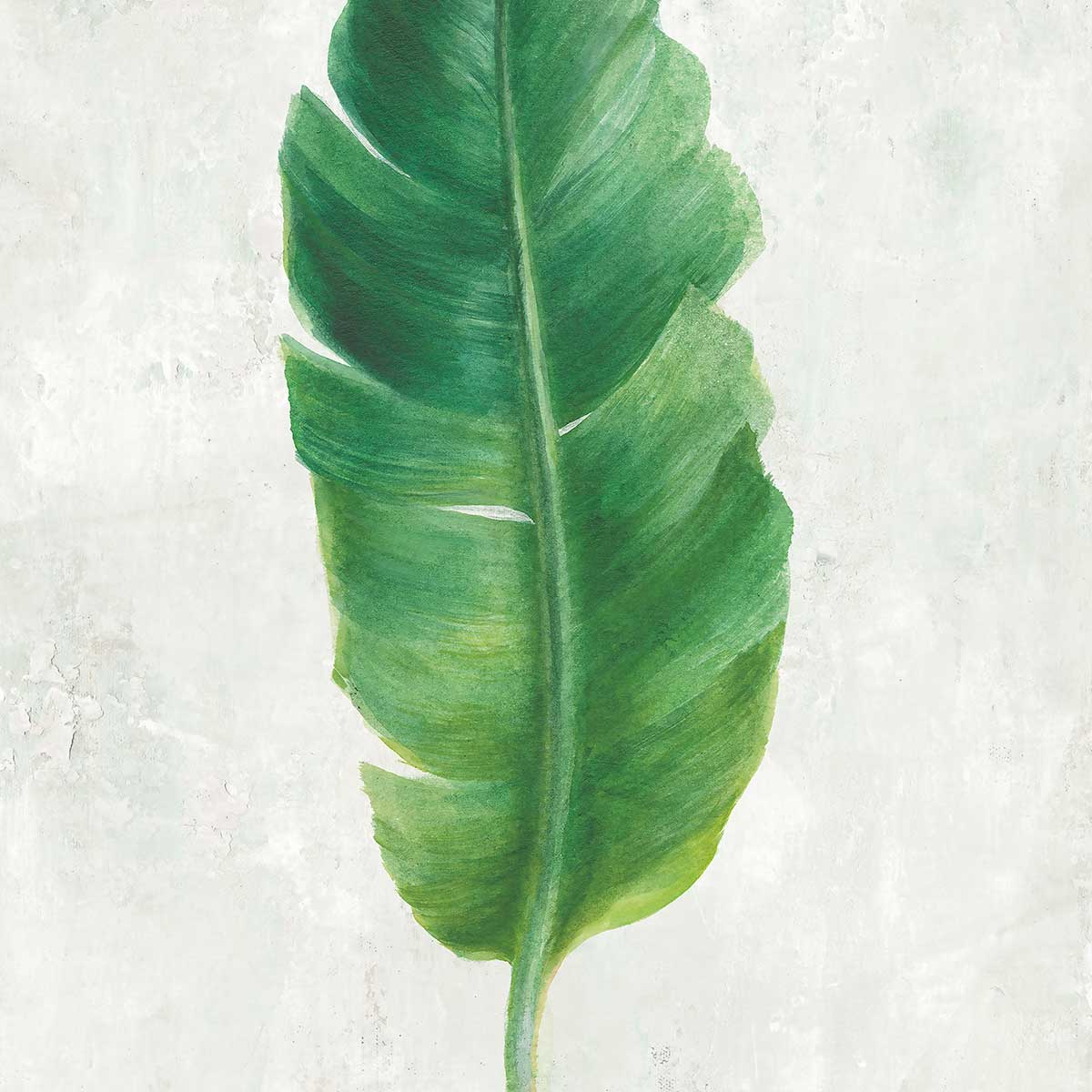 Tableau Feuille de bananier illustrée tableau alu dibond, HEXOA