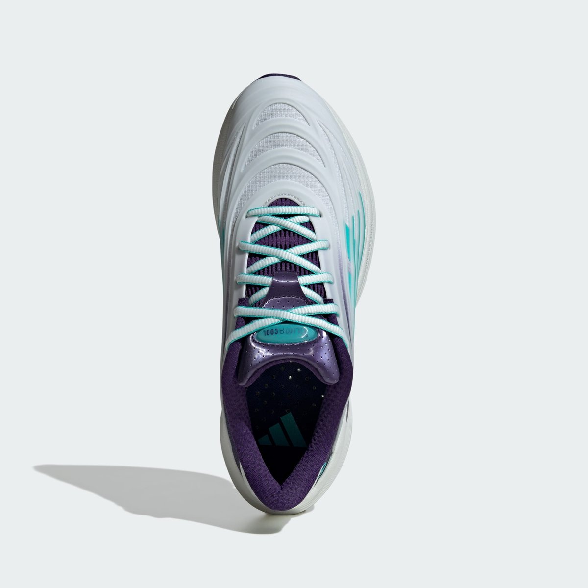 Chaussure Climacool Spw Mercedes Amg Petronas F1 Team Chaussure Climacool Spw Mercedes Amg Petronas F1 Team blue tint / semi mint rush / dark purple, adidas Performance