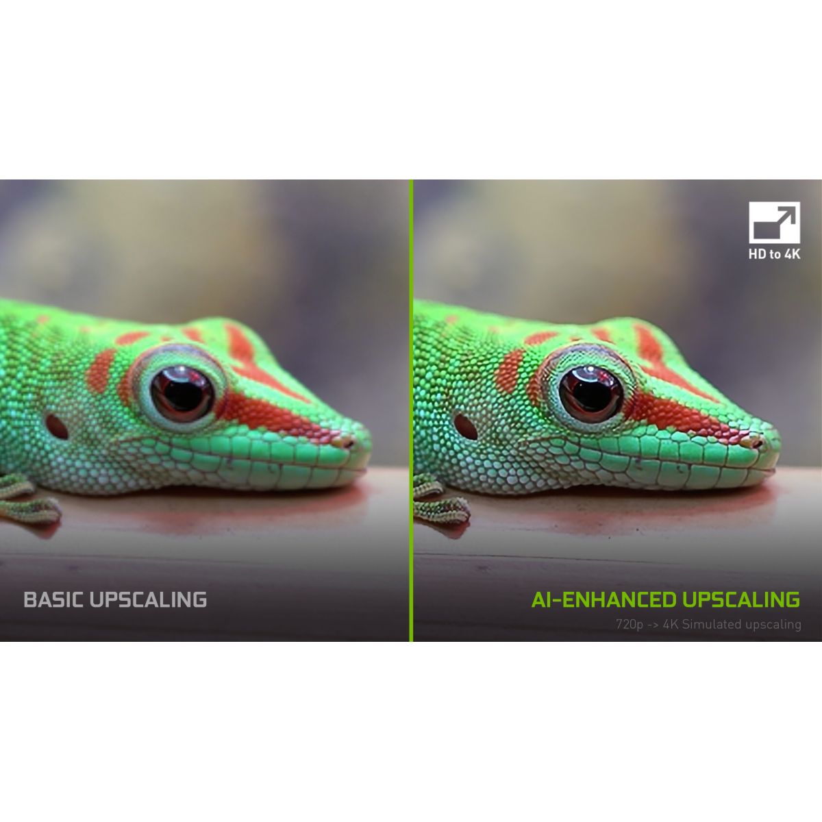Passerelle multimédia Shield TV Pro couleur unique, NVIDIA