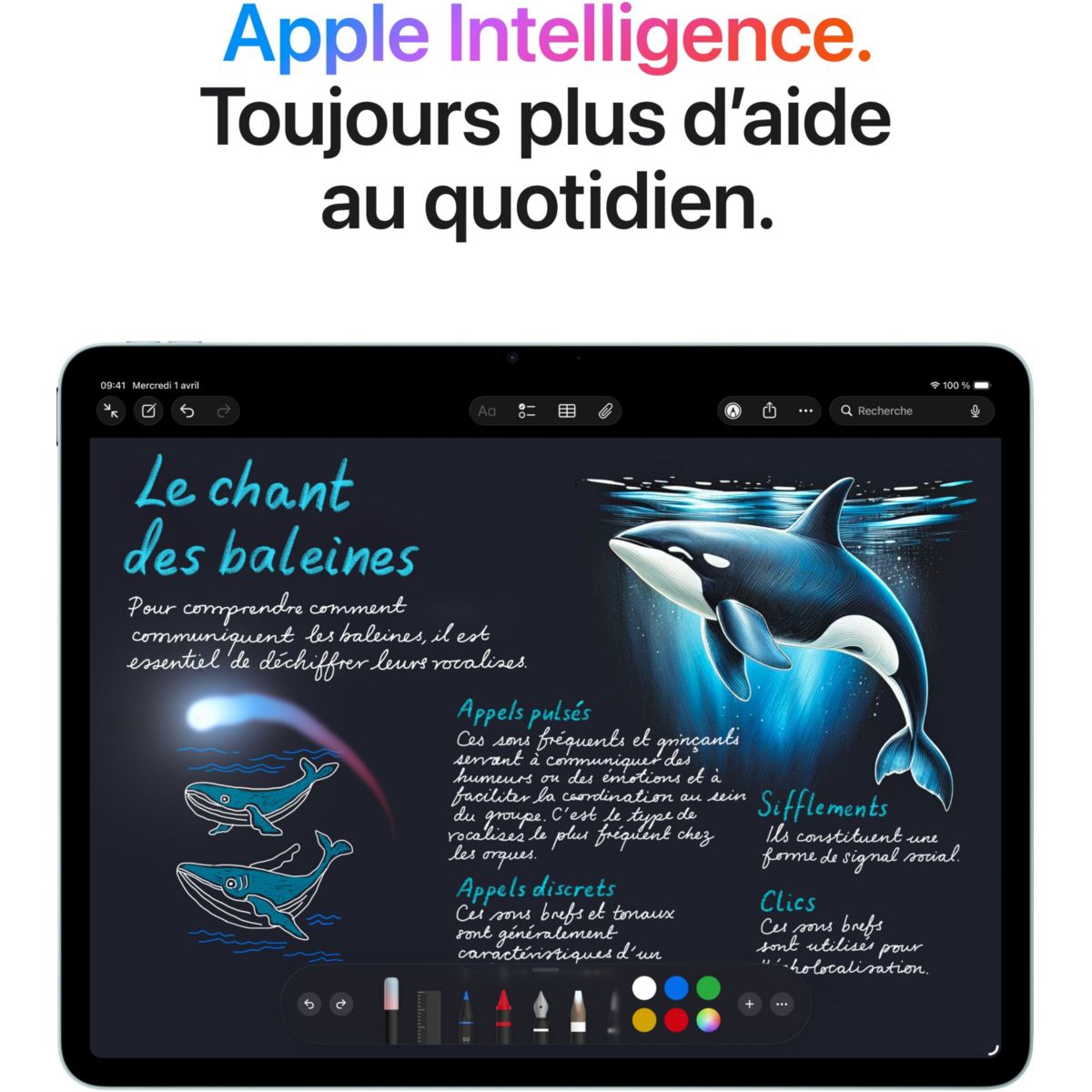 Tablette Apple Air 11 M4 256Go Gris Sidéral Cellu 2026 gris, APPLE