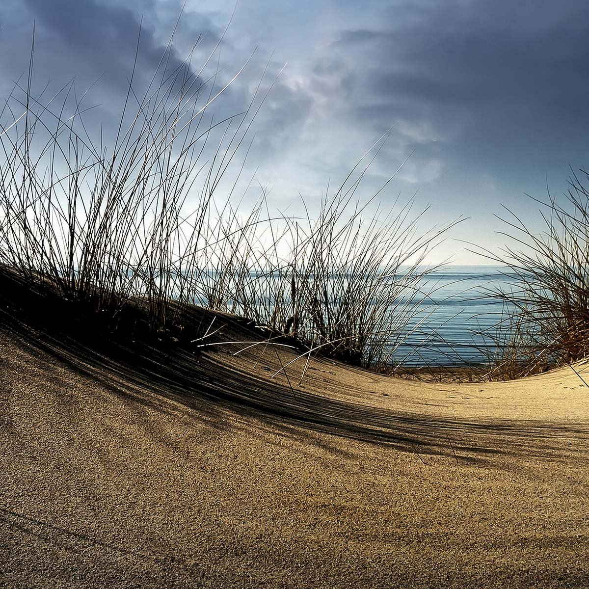 Papier peint panoramique en haut de la dune intissé, HEXOA