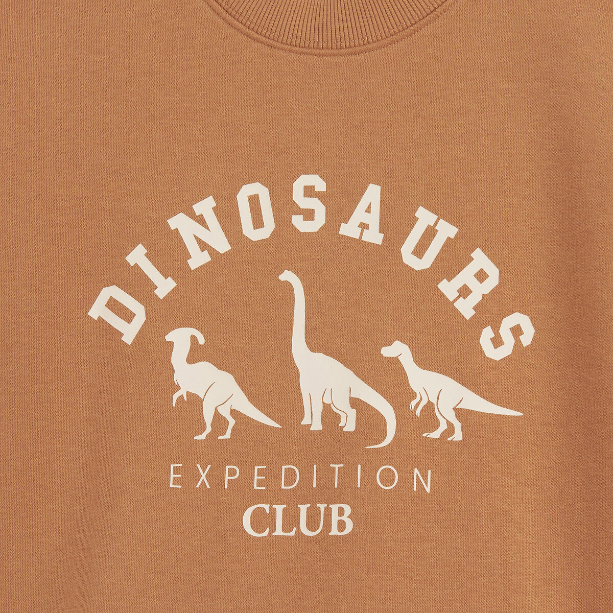 Felpa girocollo, stampa dinosauri, pile cammello, LA REDOUTE COLLECTIONS