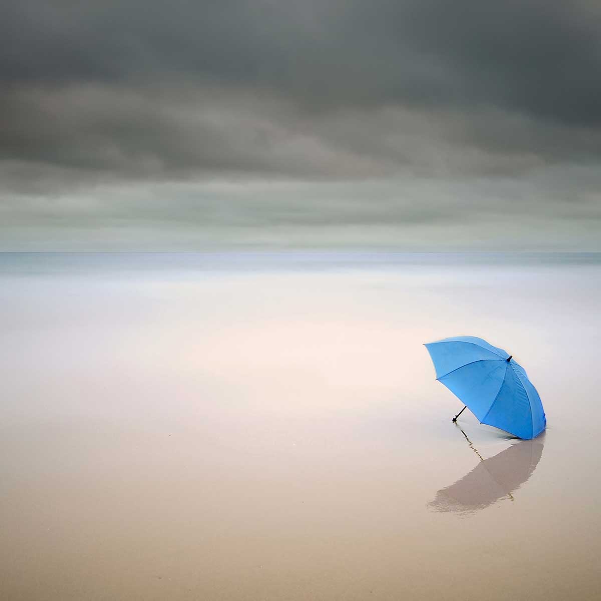 Tableau parapluie bleu tableau alu dibond, HEXOA