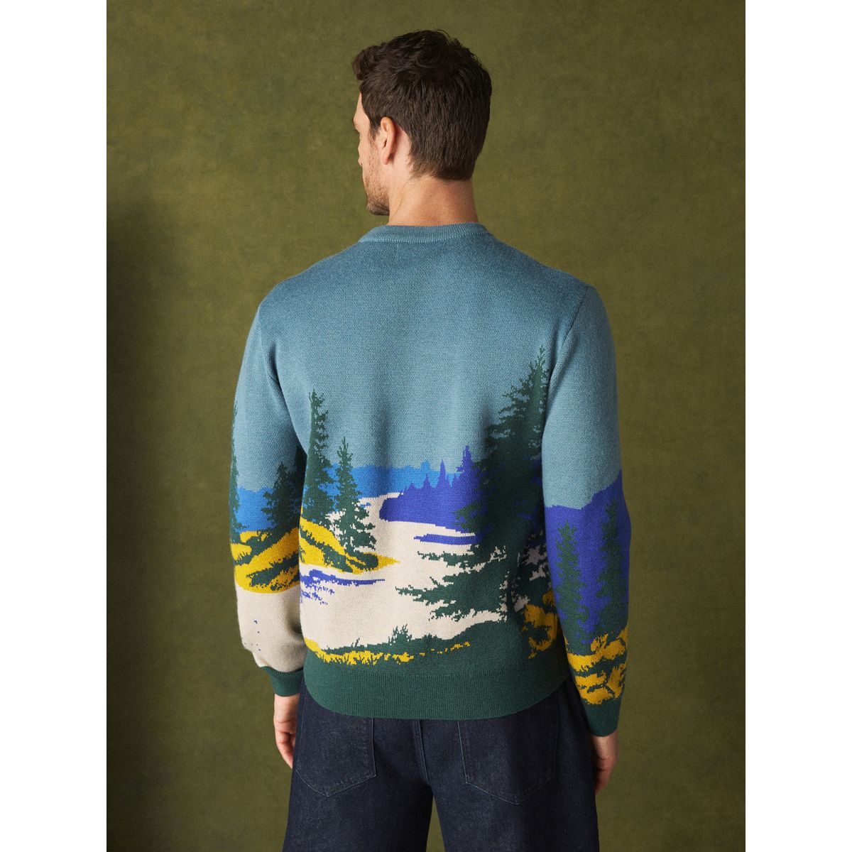 Pull ras du cou en maille à motif paysage bleu/vert, NEXT