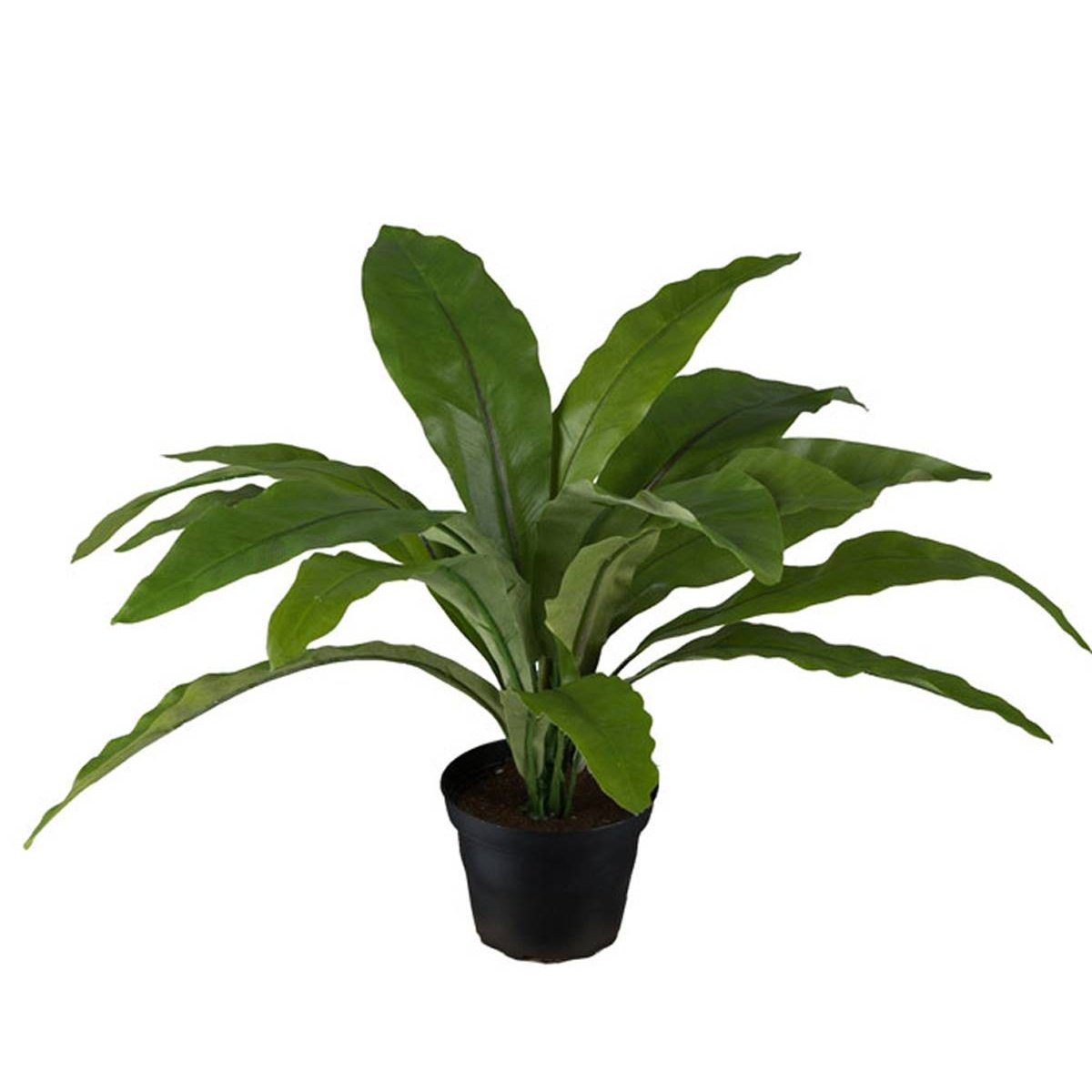 Fougère asplenium artificielle H 30 cm, D 3 v002239, ARTIFICIELLES