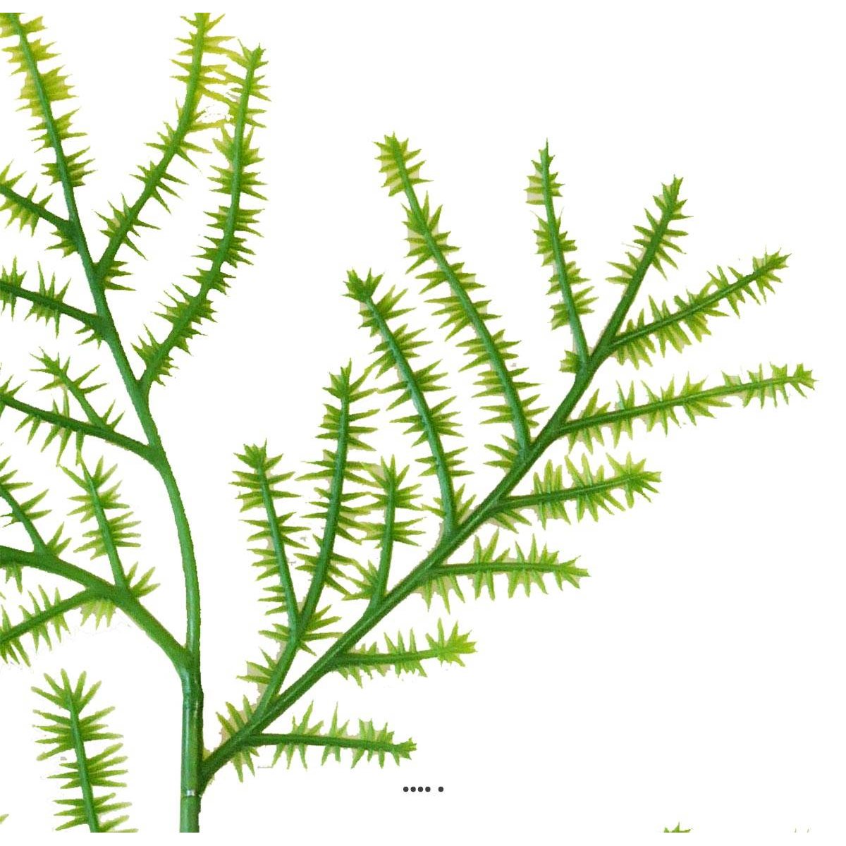 Feuille d'Asparagus Plumosus artif v002239, ARTIFICIELLES