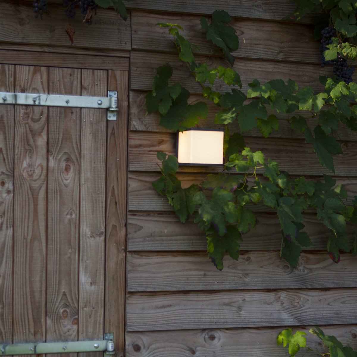 Applique murale d'extérieur sur secteur DOBLO CUBE GREY aluminium gris LED blanc neutre H10cm dark grey, LUMISKY