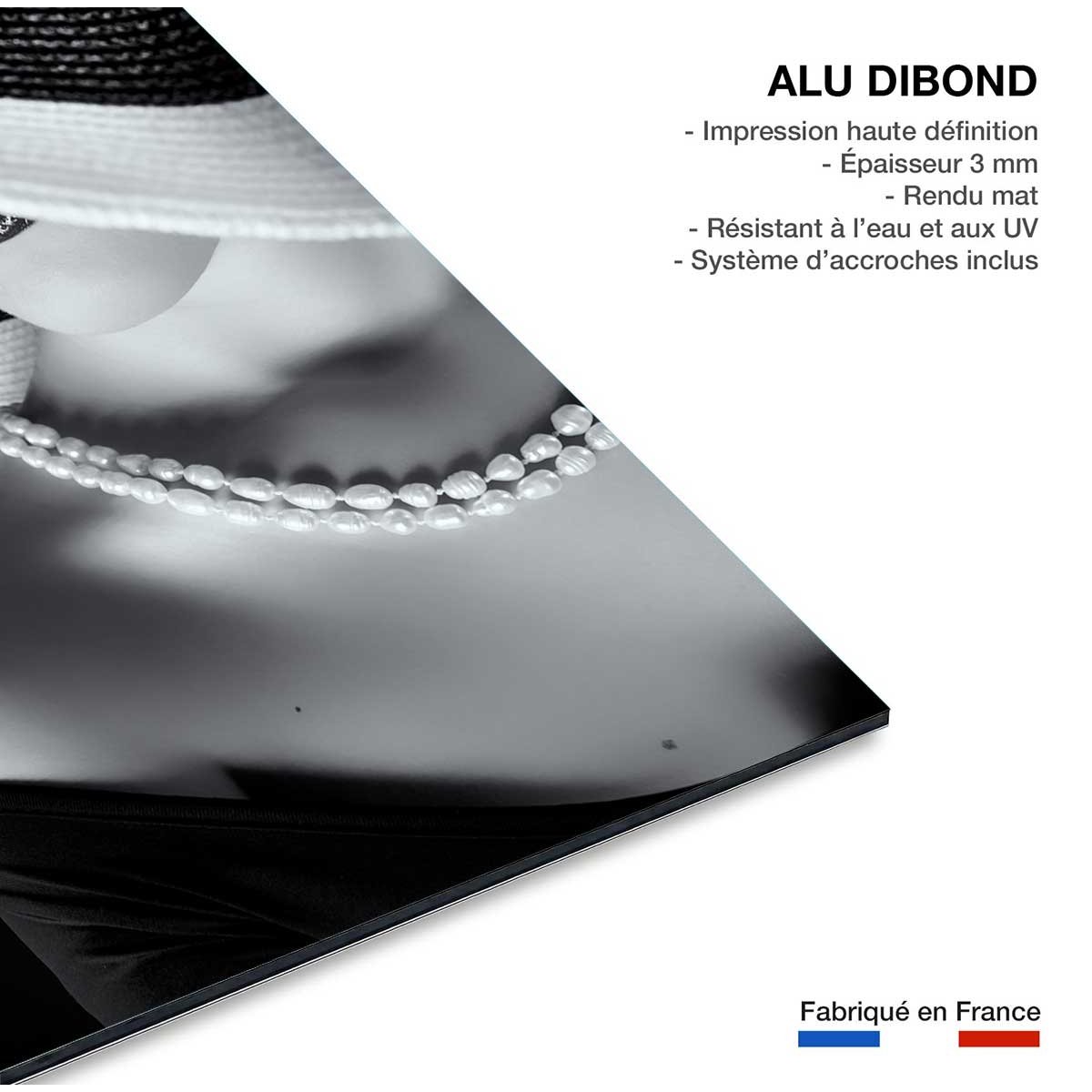 Tableau contemporain la femme au chapeau tableau alu dibond, HEXOA