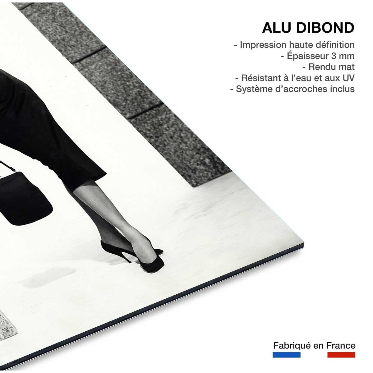 Photo actrice Célèbre Sophia Loren tableau alu dibond, HEXOA