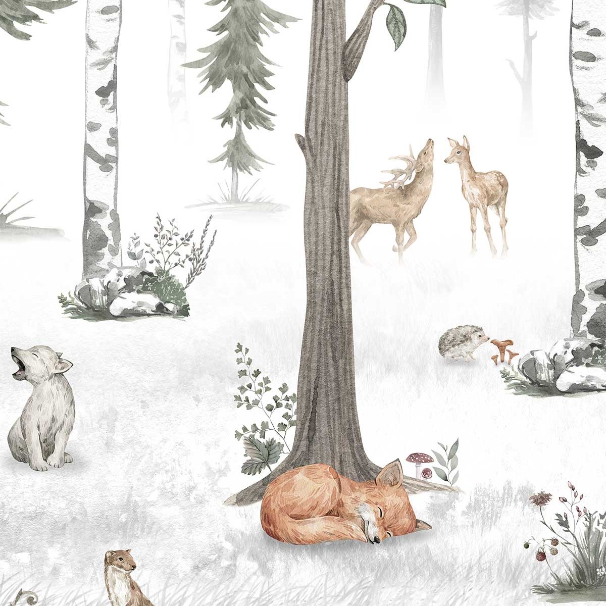 Papier enfant Forêt de bouleaux et Cie blanc, HEXOA