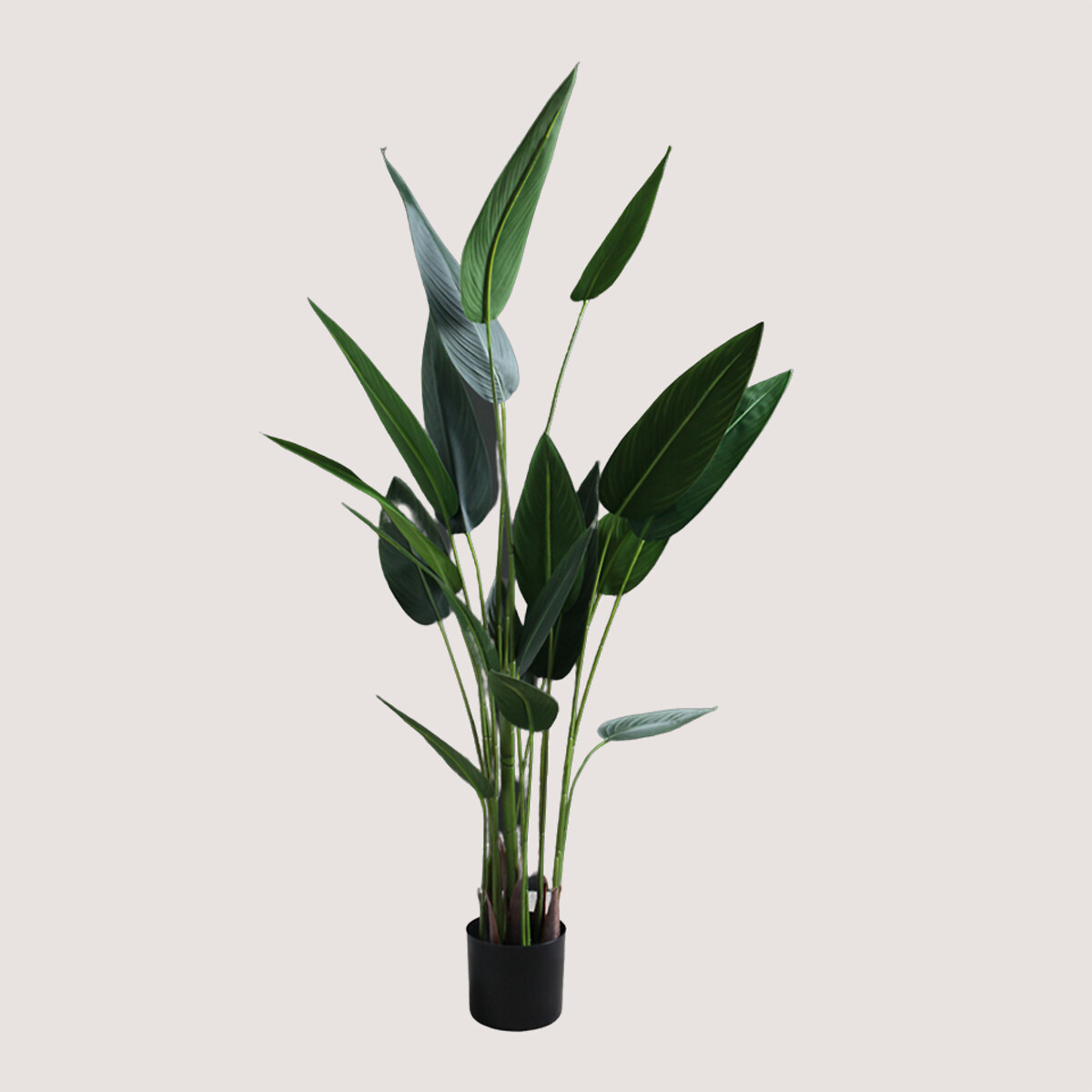 160cm Artificial Bird of Paradise green, SO'HOME