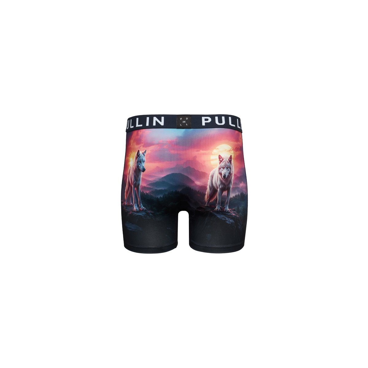 BOXER LONG WOLFEN multicolore, PULLIN