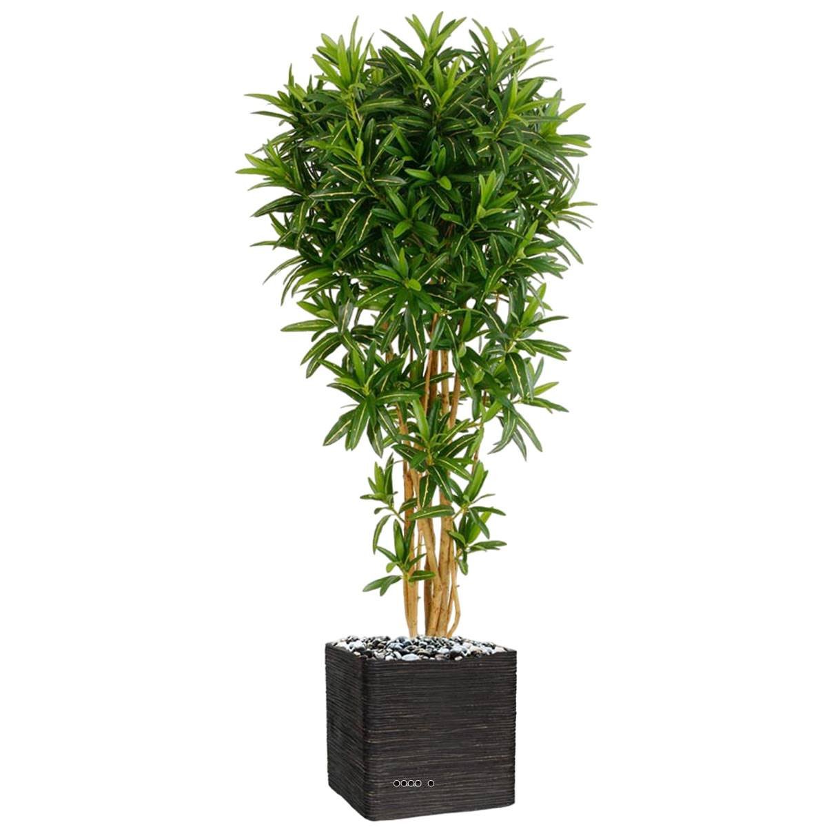 Croton Goldfinger reflexa factice H150 cm 142 vert, ARTIFICIELLES