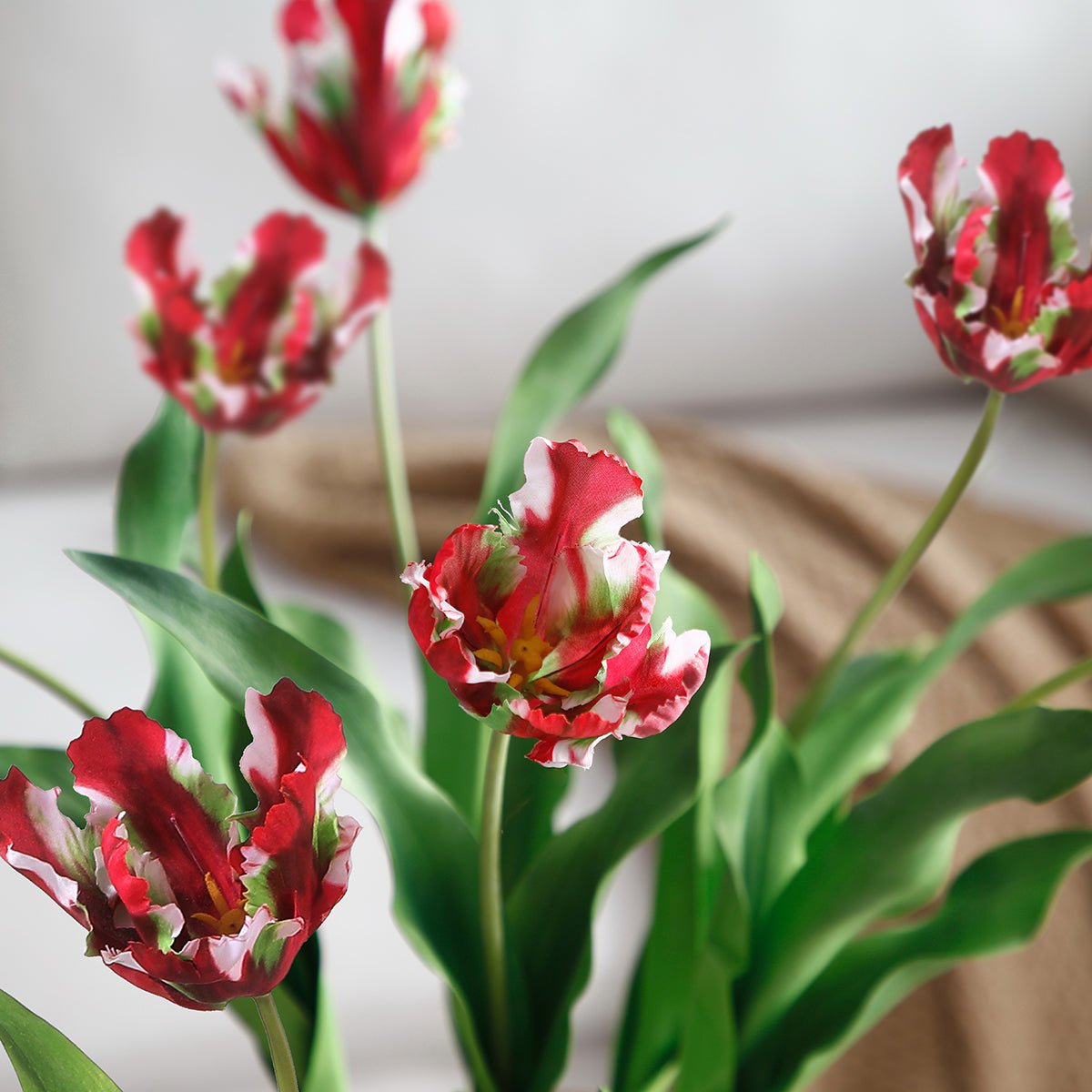 Tige de tulipe perroquet artificielle H63 rouge, SIA DECO