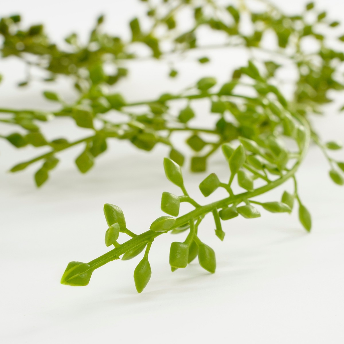 Plante artificielle SENECIO vert, MICA DECORATIONS