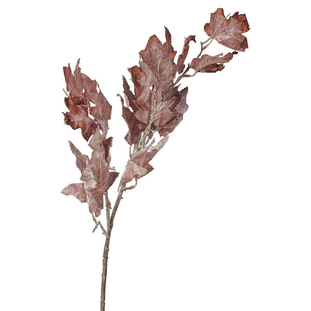 Mulberry Brown Dried Flower Bunch brown , SO'HOME