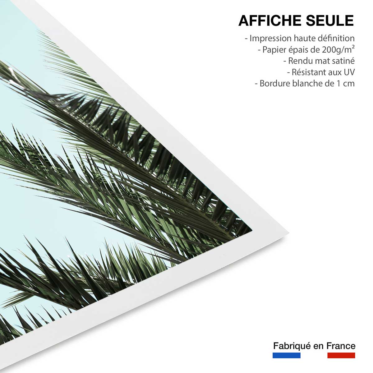 Poster palme bleue affiche seule, HEXOA