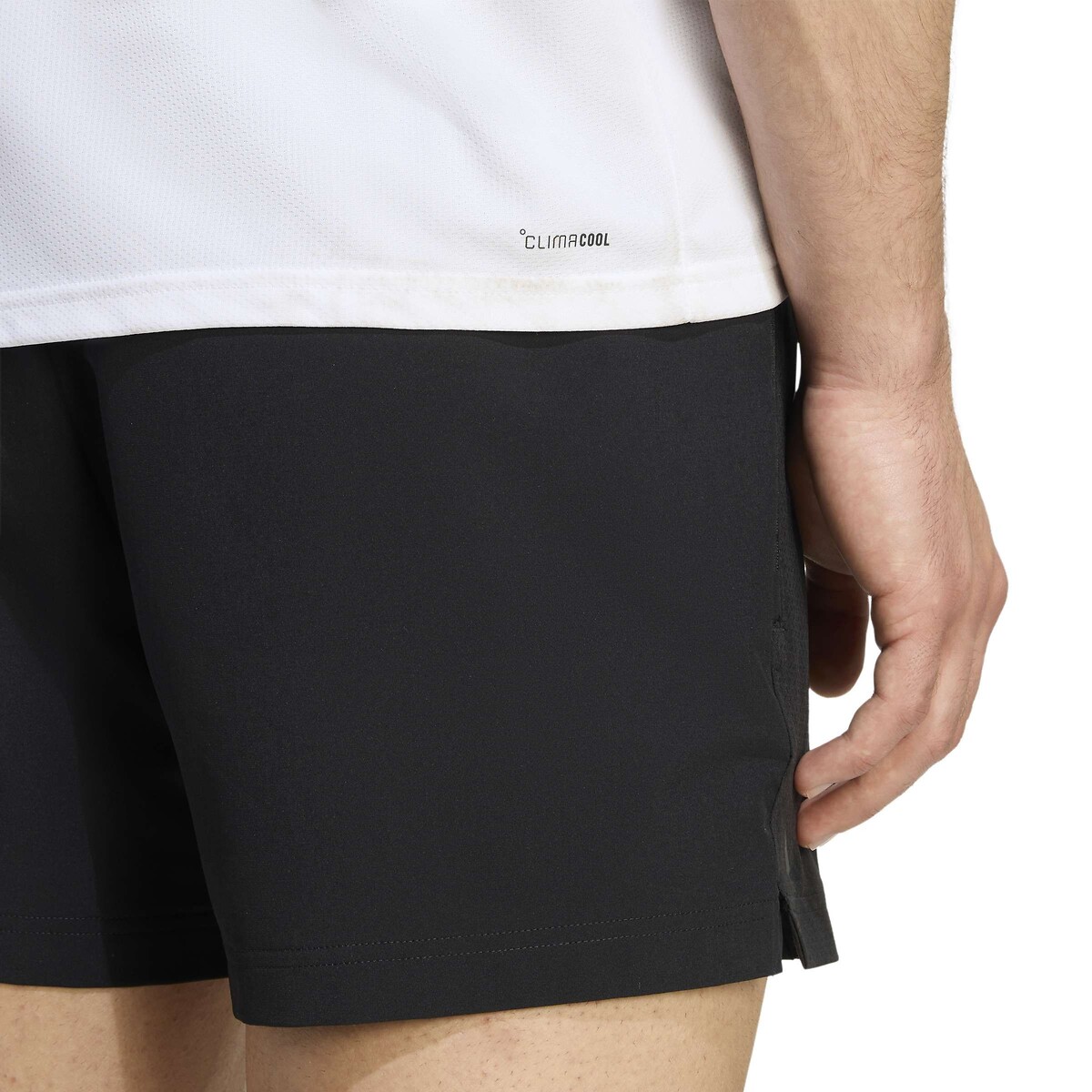 T-shirt de training, WORKOUT ESSENTIALS blanc, adidas Performance