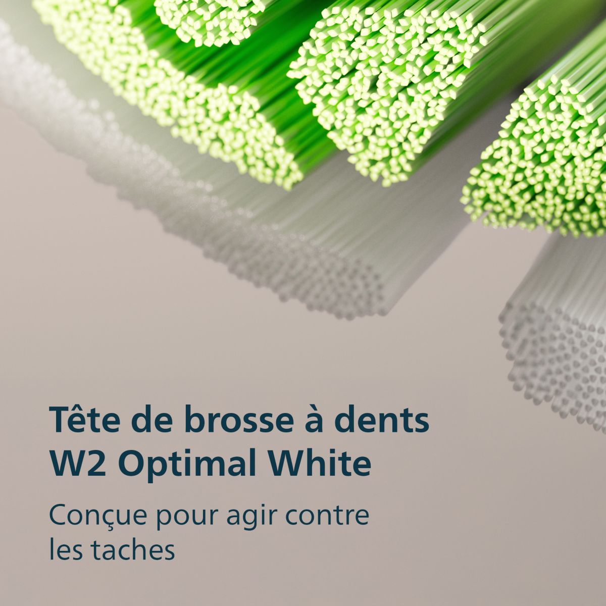Brosse à dents électrique HX4042/52 Serie 4100 Noire couleur unique, PHILIPS