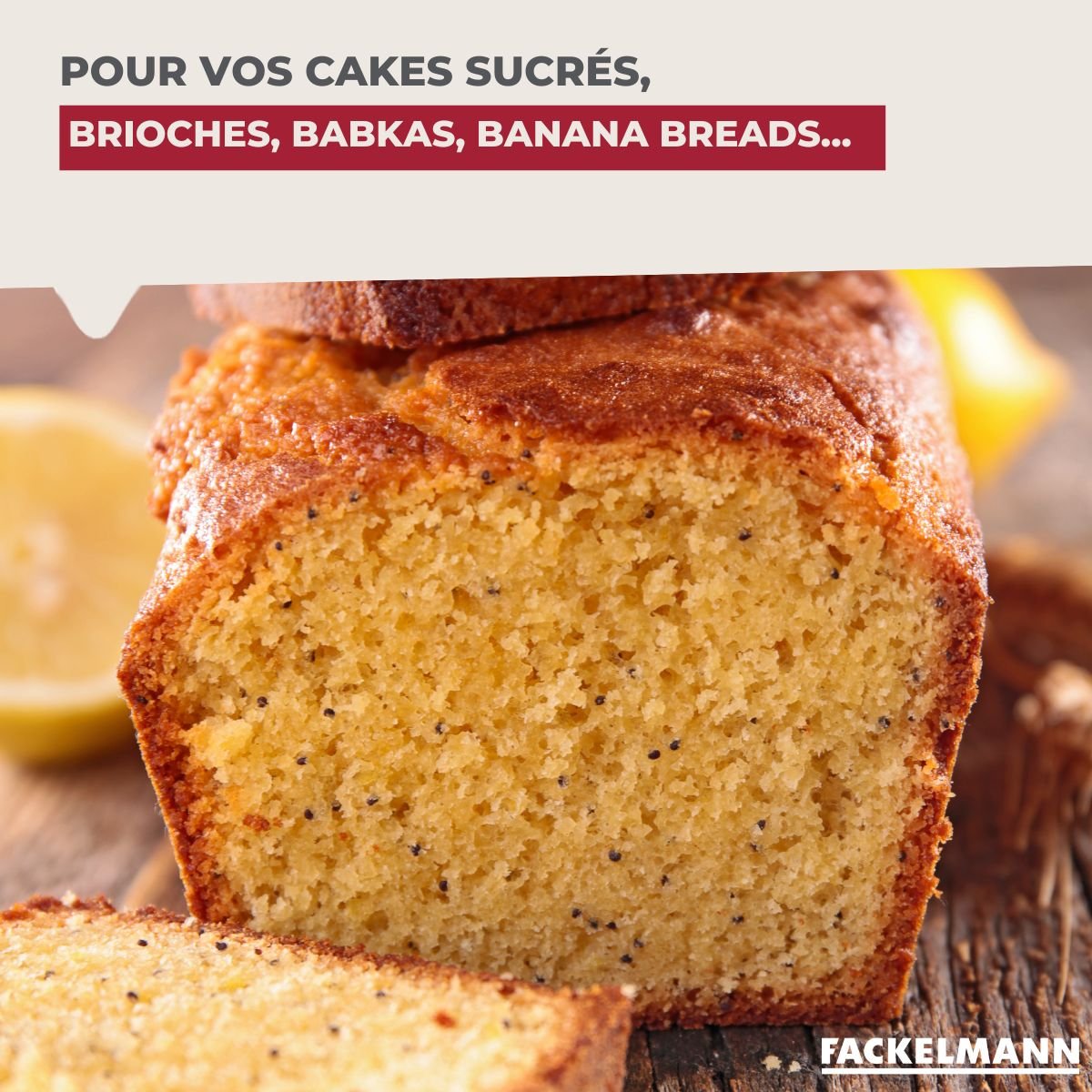 Moule à pain et à cake émaillé 29 cm noir, FACKELMANN