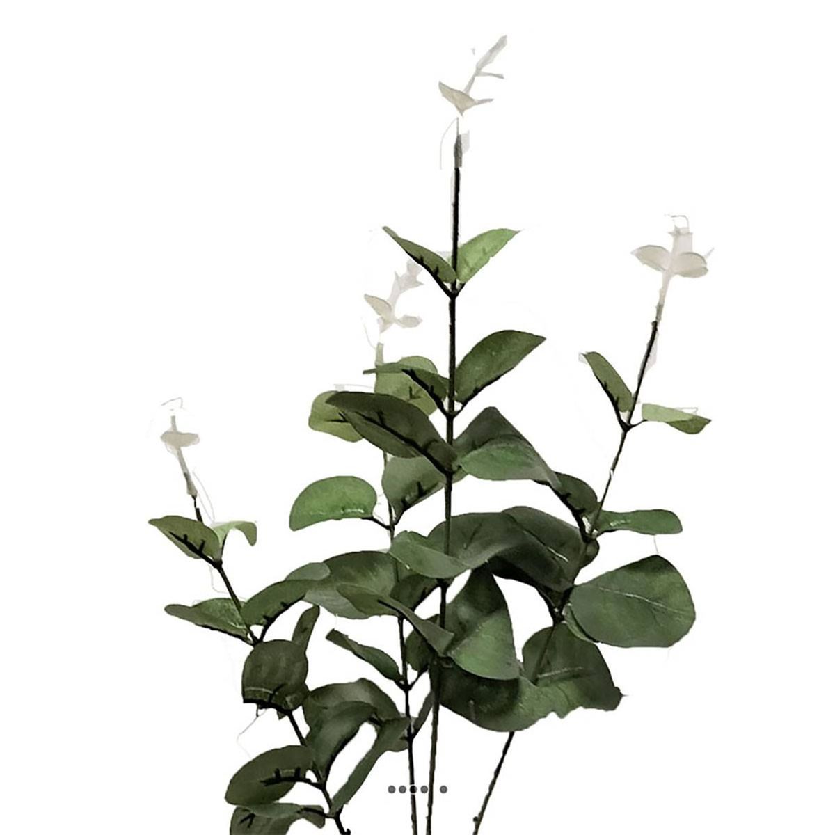 Branche de faux eucalyptus H 65 cm 4 ramures v002239, ARTIFICIELLES