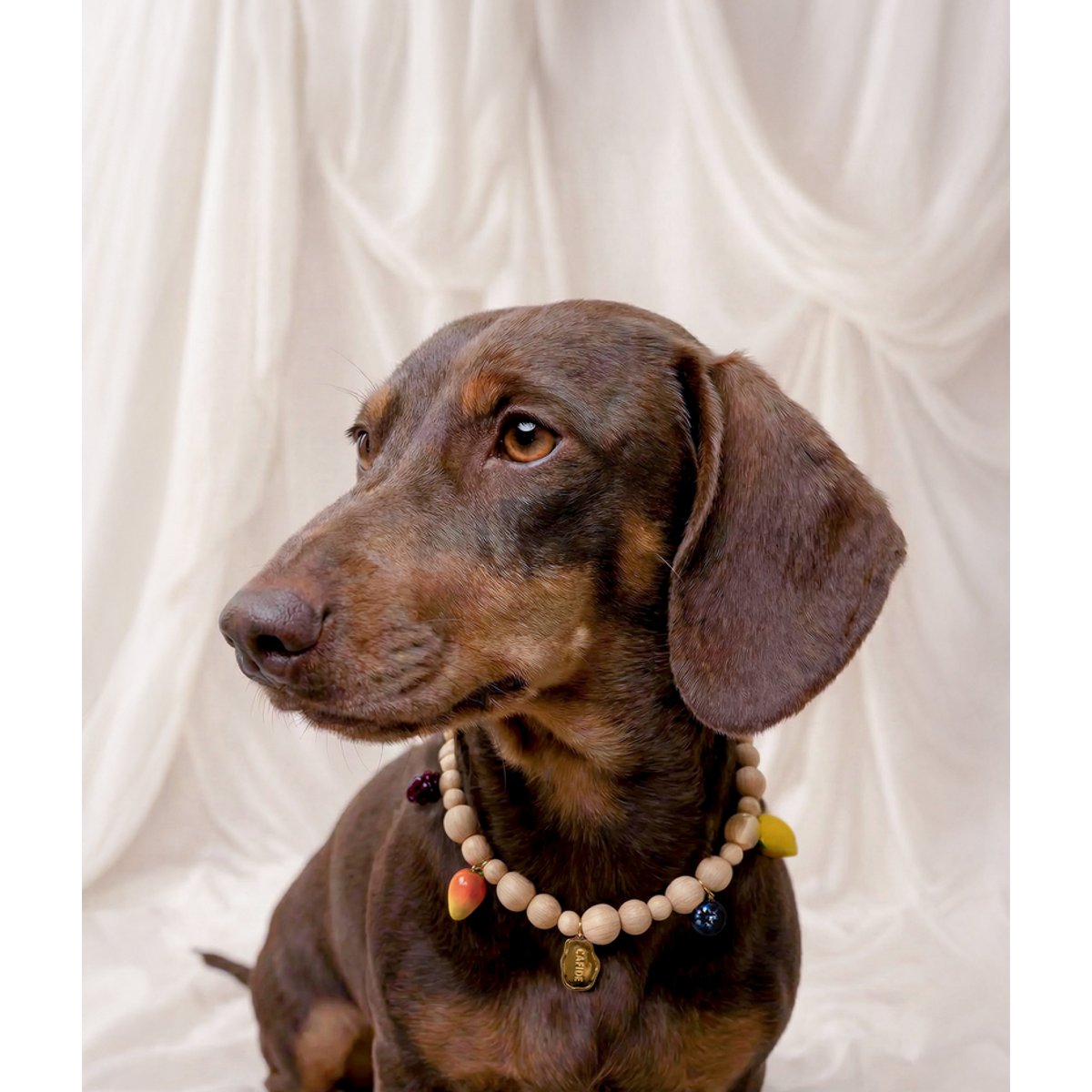 Collier à breloques pour chien, SIRA bois clair, CAFIDE