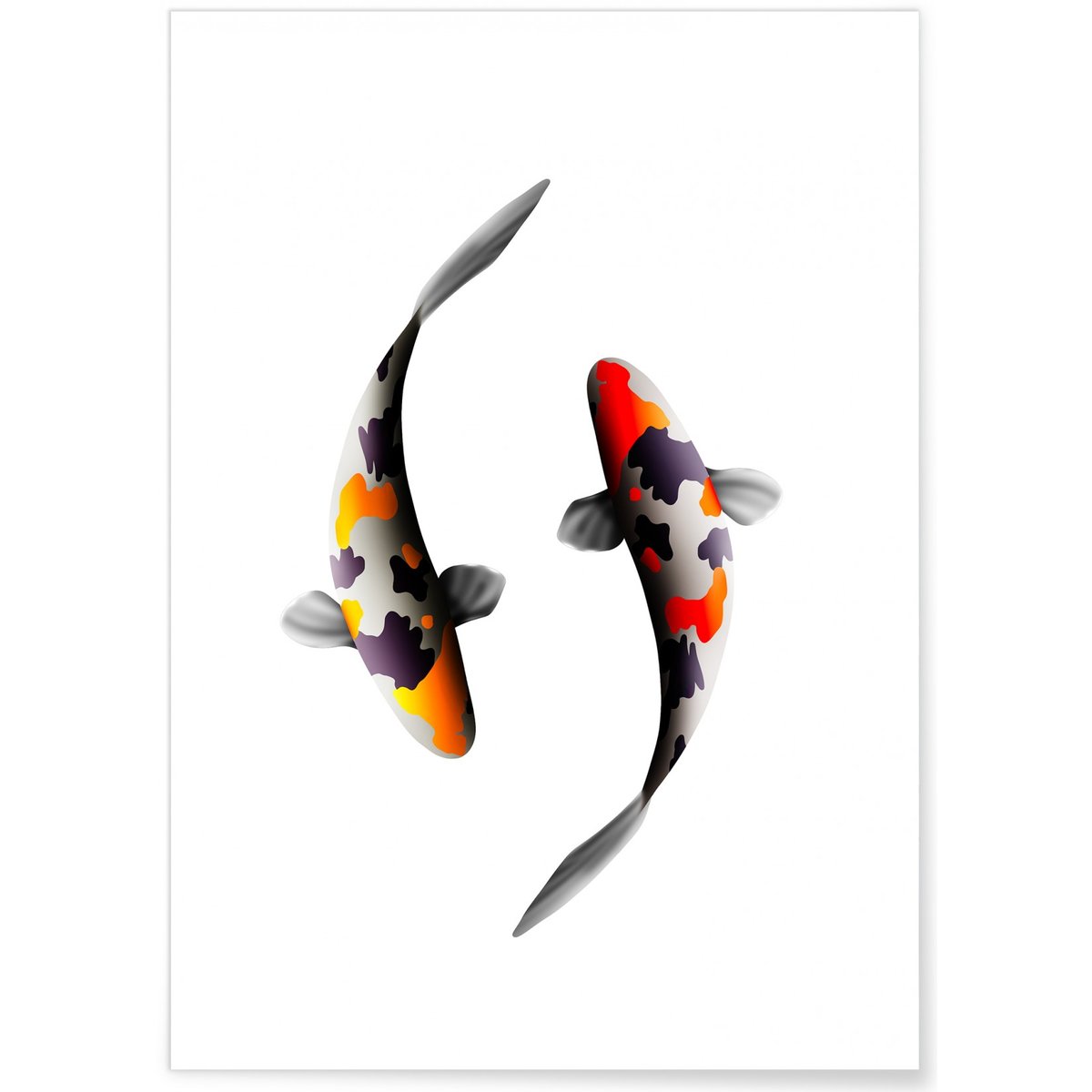 Poster Carpes Koi blanc, L'AFFICHERIE