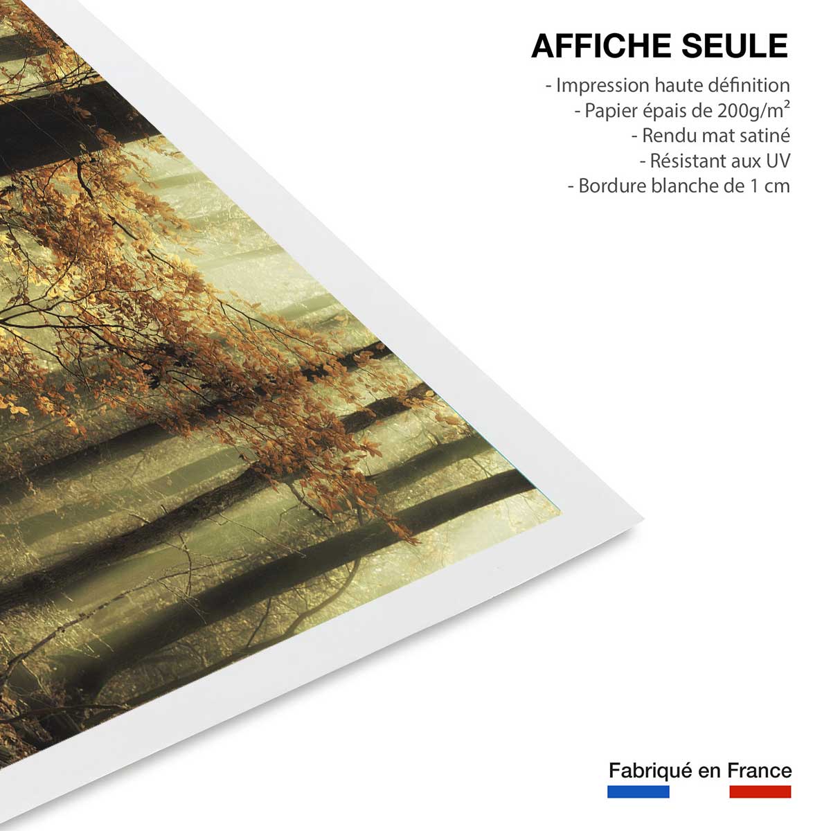 Affiche ""les feuilles d'automne"" affiche seule, HEXOA