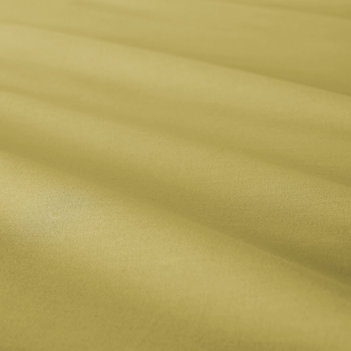 Drap plat uni en percale de coton, 80 fils, Scenario macha, LA REDOUTE INTERIEURS