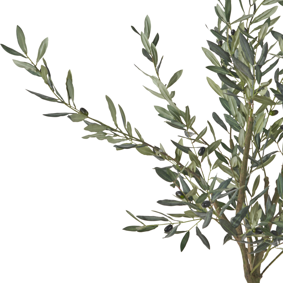 150cm Olive Tree in Pot green, SO'HOME