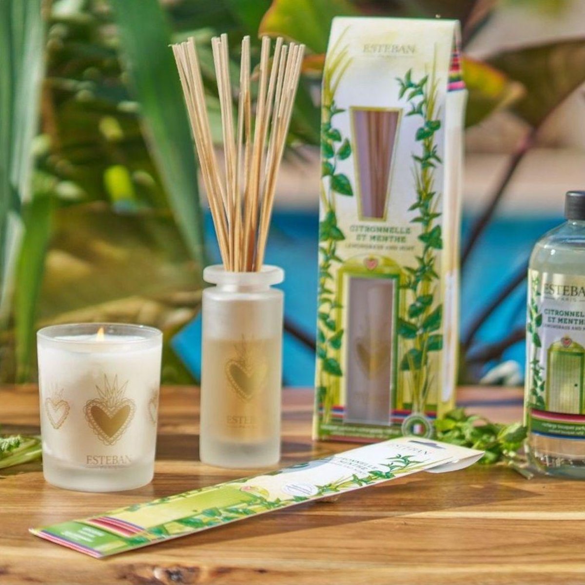 Parfum d'intérieur - Encens 20 bâtonnets Citronnelle Menthe marron, ESTEBAN