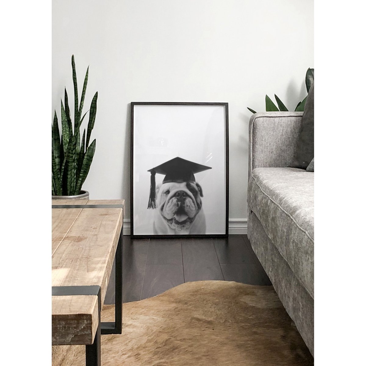 Affiche Bulldog Gaston blanc, L'AFFICHERIE