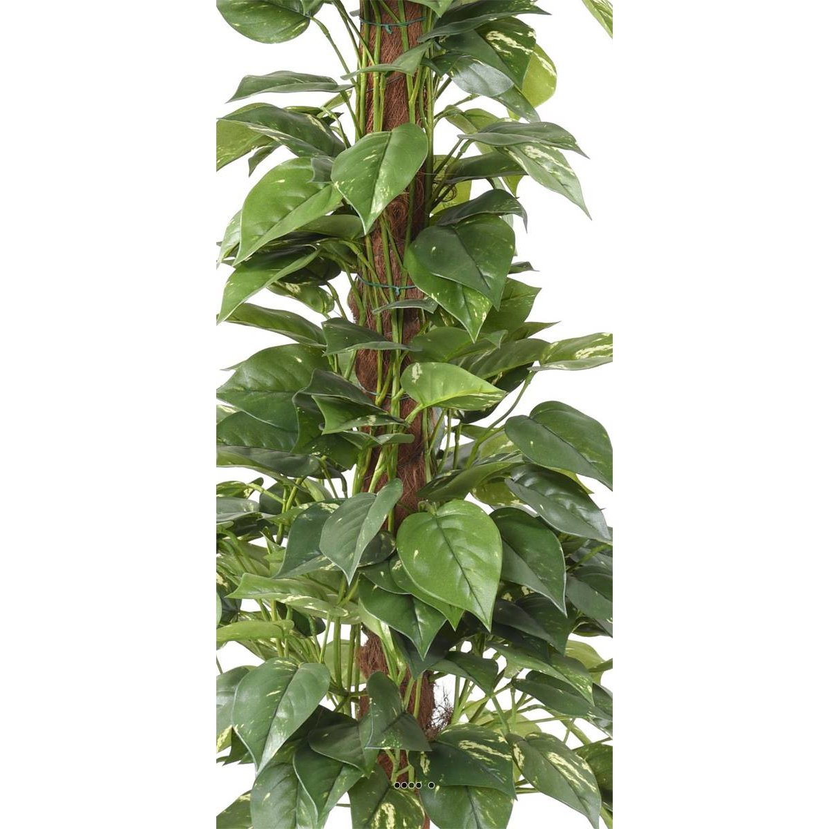 Pothos artificiel sur tuteur en pot vert, ARTIFICIELLES