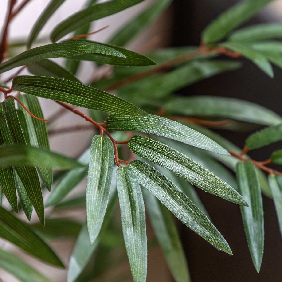 4ft Potted Bamboo Tree green, ÉDITÉ