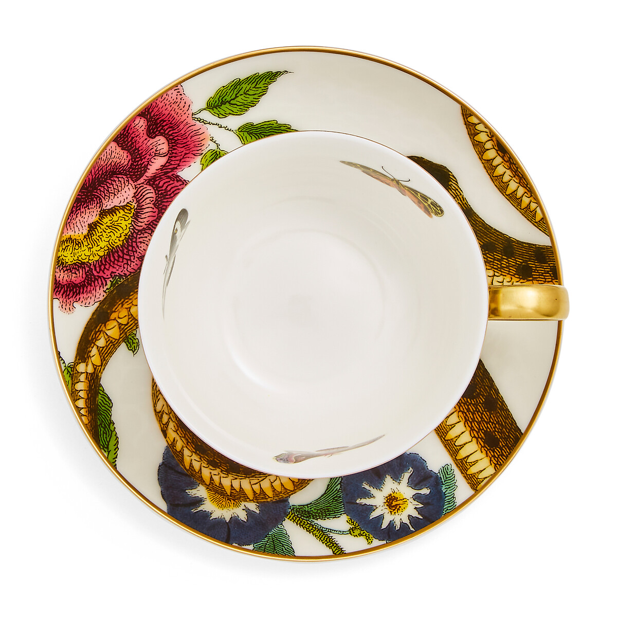 Creatures of Curiosity Leopard Cup & Saucer multi-coloured, SPODE