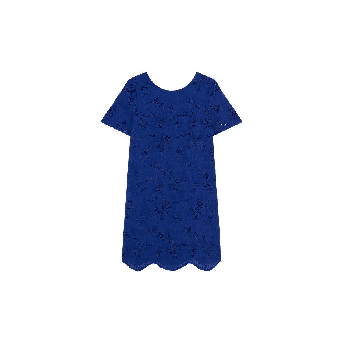 Robe droite en dentelle CALVIE bleu roi, CAROLL