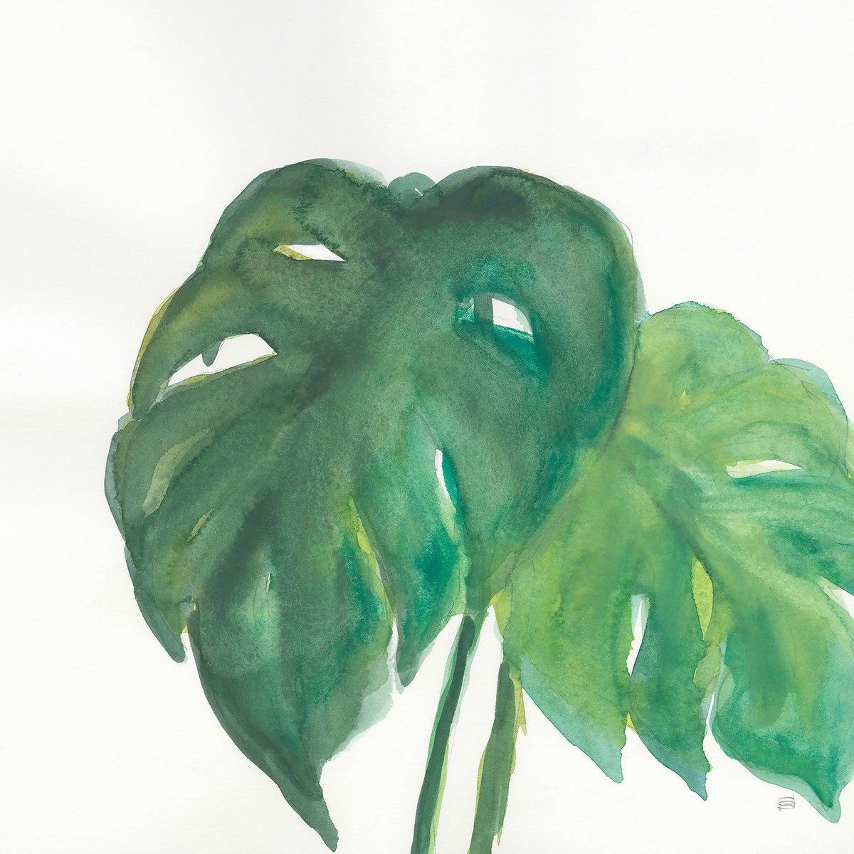 Tableau plante aloe watercolor tableau alu dibond, HEXOA