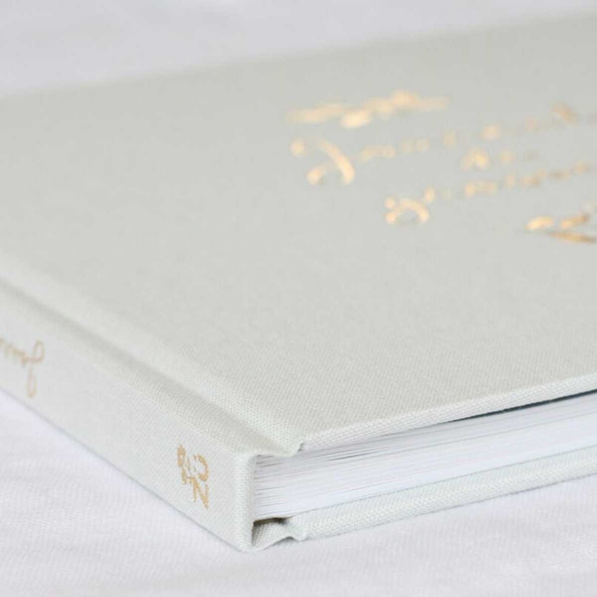 Journal de grossesse ecru, ZÜ
