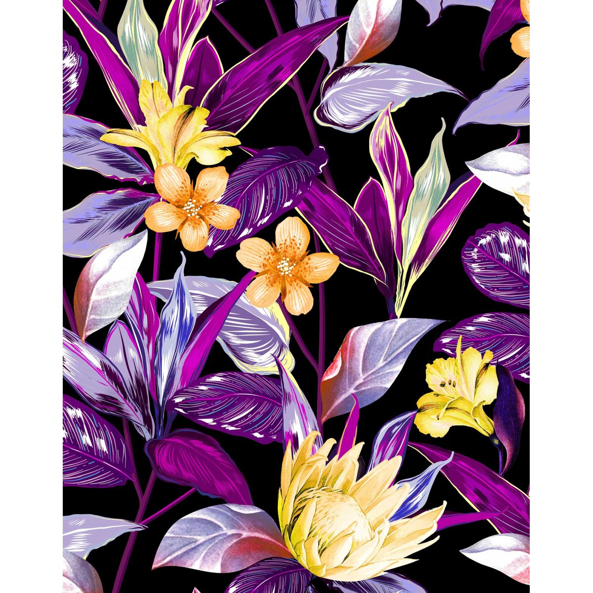 CALECON PARACHUTE KALOUI violet, PULLIN