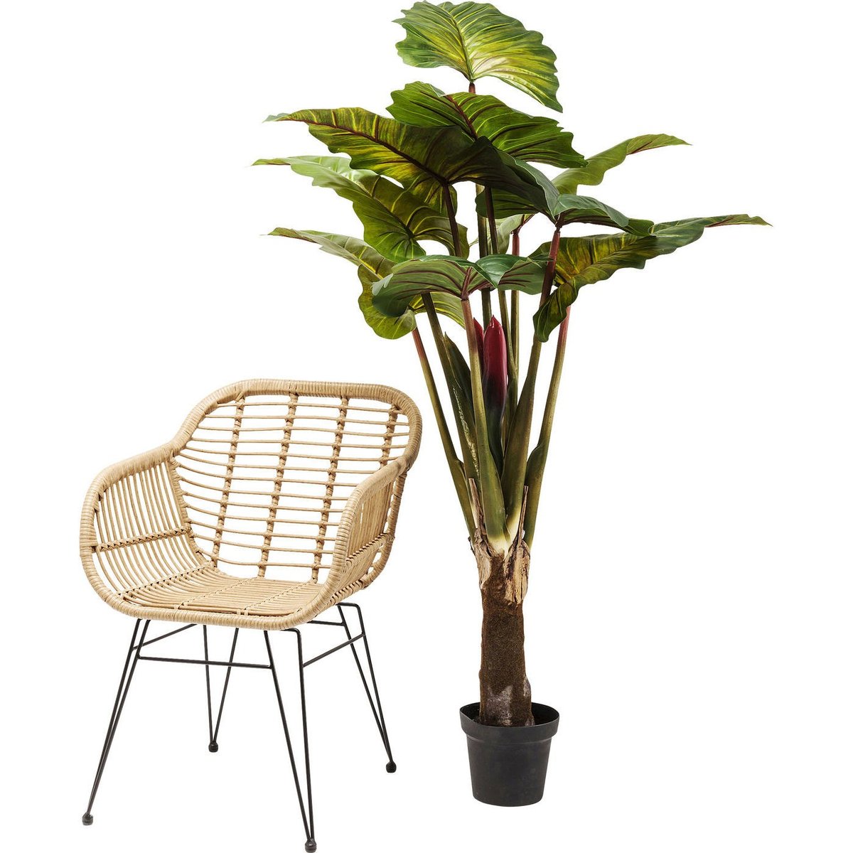 Plante décorative Rainbow Tree vert, KARE DESIGN