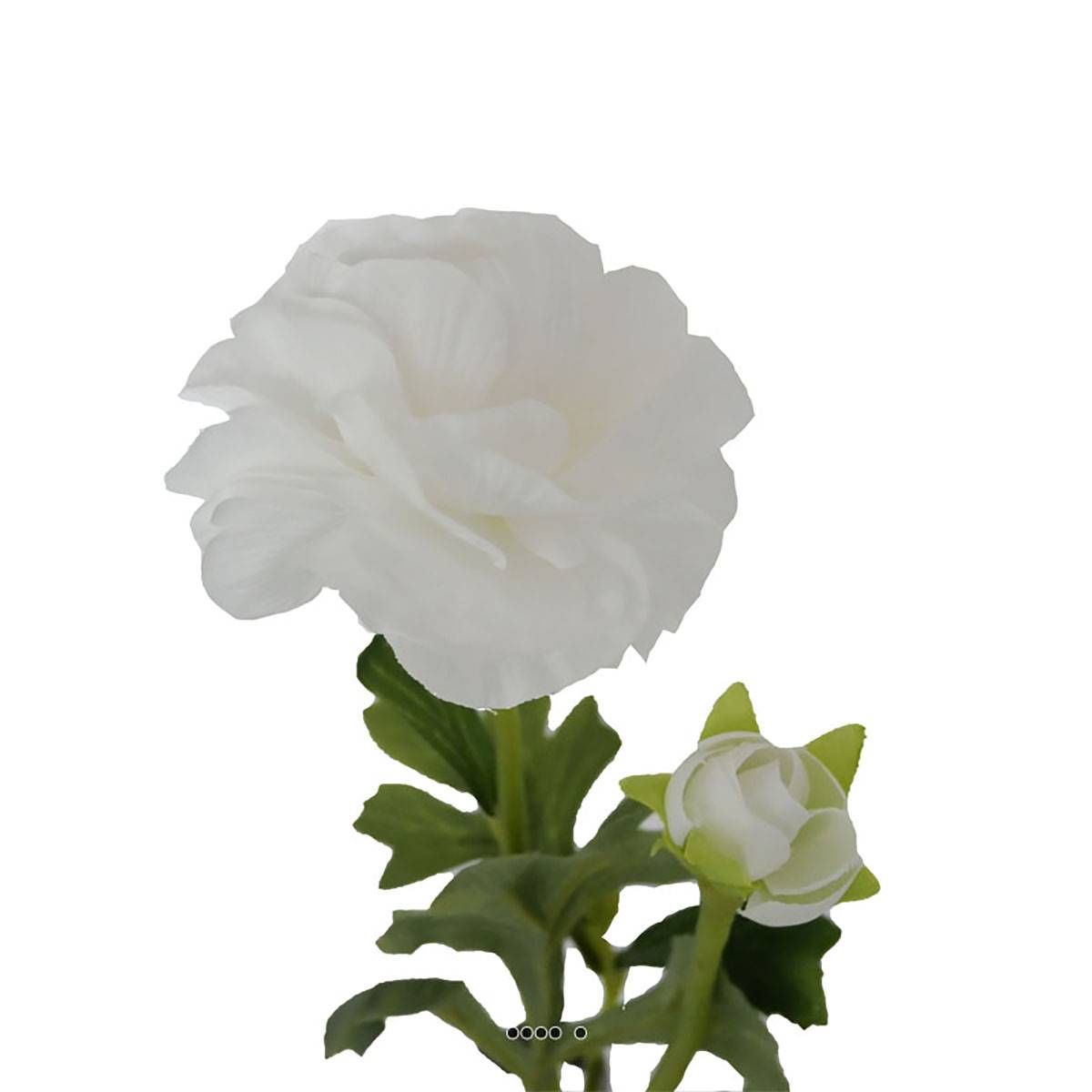 Renoncule artificielle en tige H 54 cm 2 tête v002238, ARTIFICIELLES