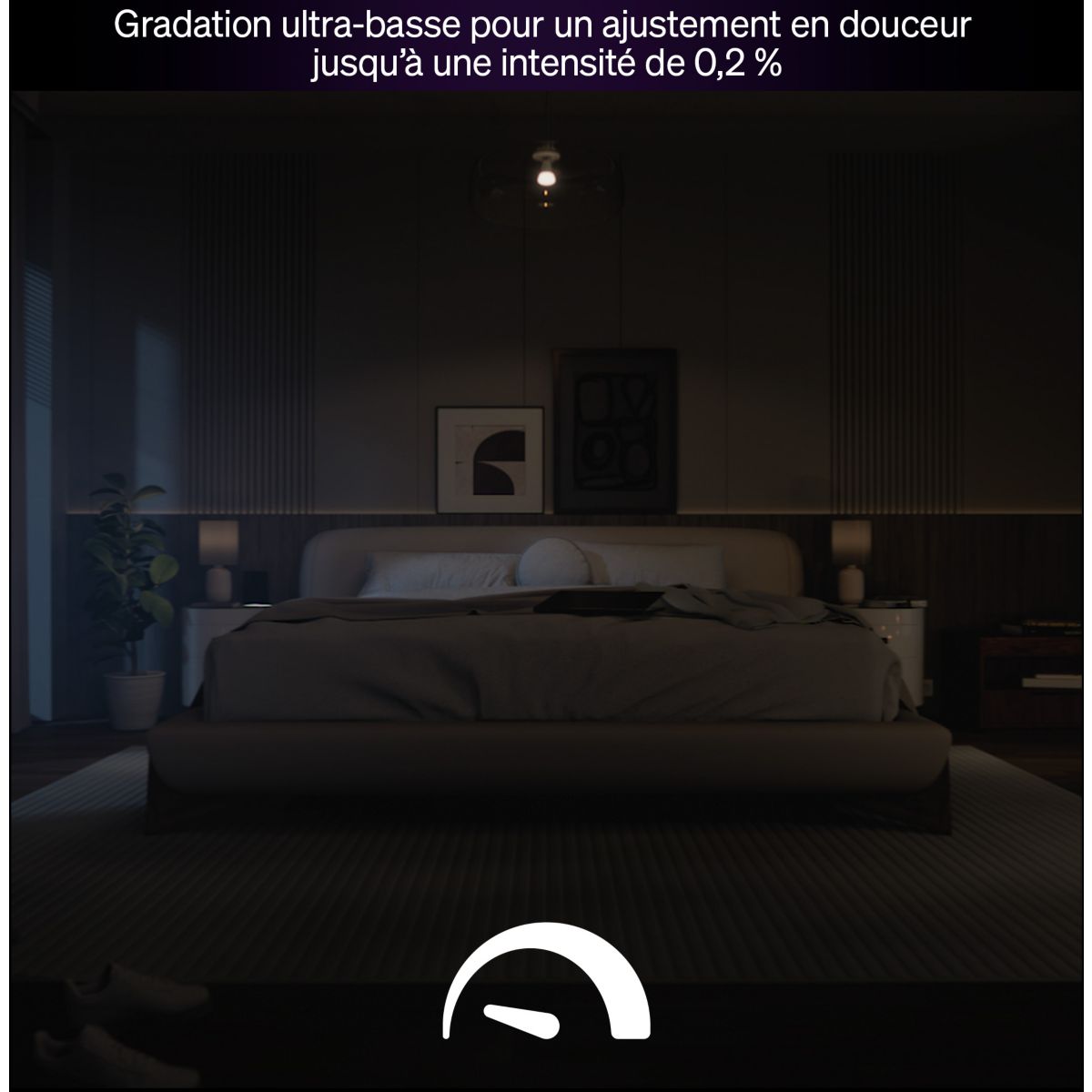 Ampoule LED connectée E27 White&Color Ambiance 100W couleur unique, PHILIPS HUE