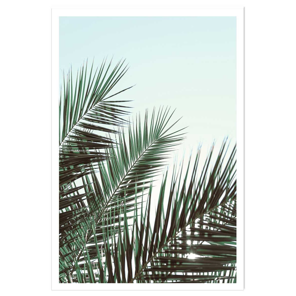 Poster palme verte affiche seule, HEXOA