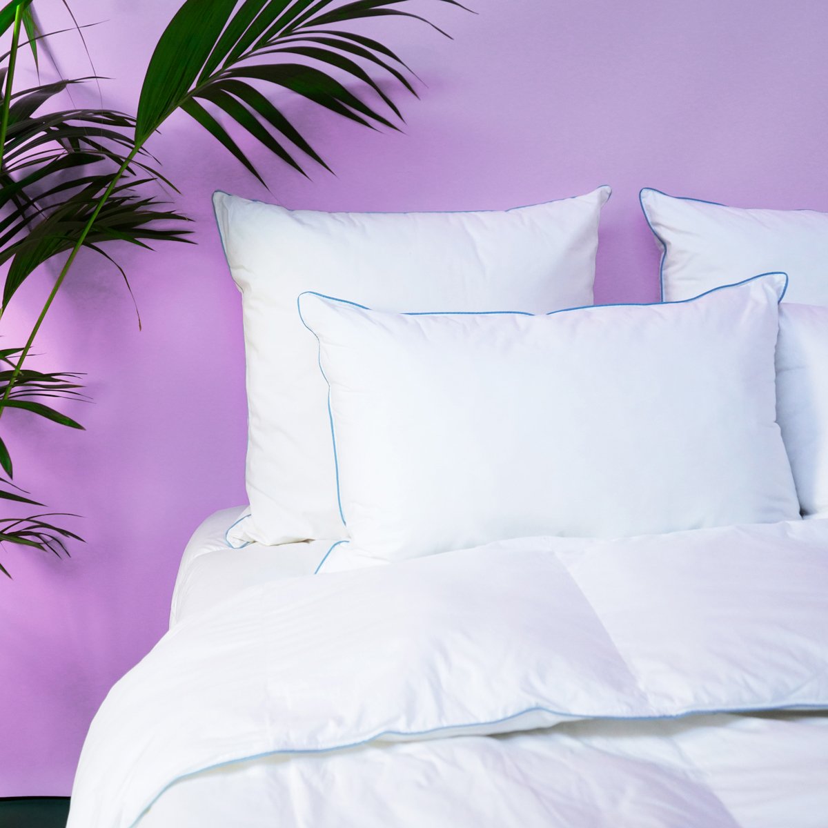 Oreiller MEDIUM Sensation Duvet - Coton Bio - Olivier blanc, WAKE ME GREEN