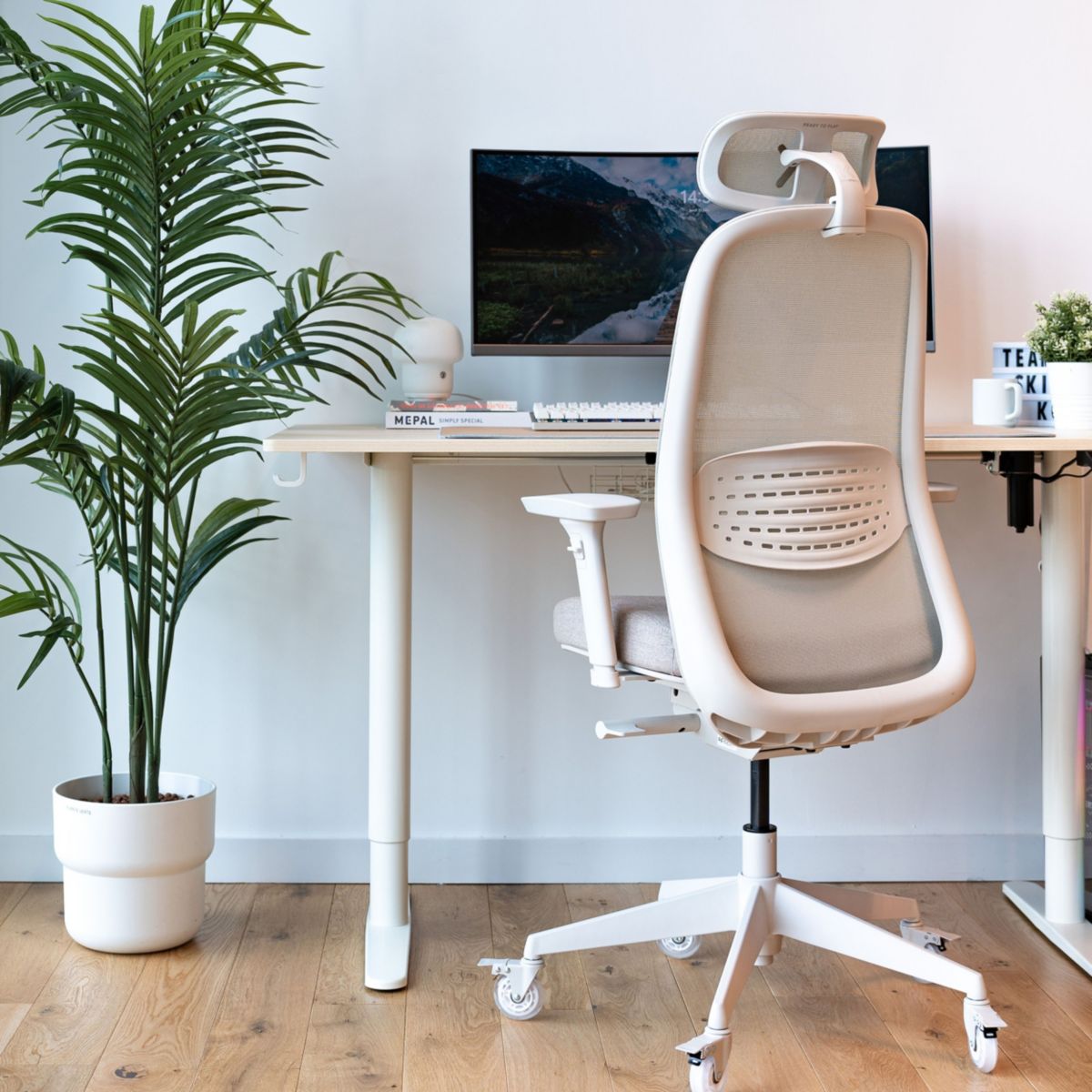 Chaise gaming C15 Ergo Beige Progress couleur unique, SKILLKORP